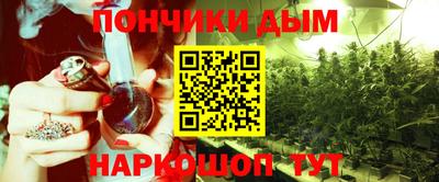 молекула духа Гай