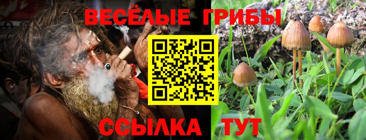 Псилоцибиновые грибы Cubensis  Вход с VPN  Галлюциногенные грибы Psilocybine cubensis  Саяногорск 